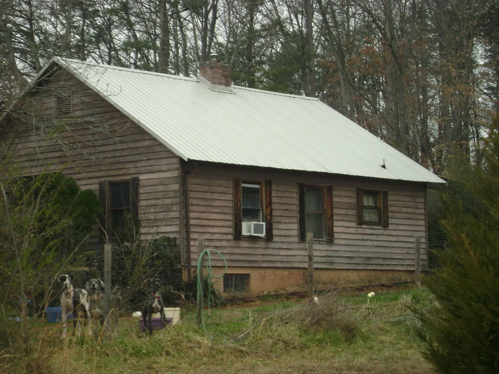 White metal roof on an old wood sided farmhouse, from a Asphalt Shingle Roof Repair job in Avoca